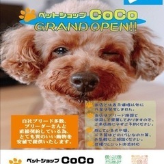 本日入荷　特価販売