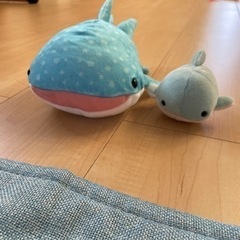 ジンベェザメちゃんの画像