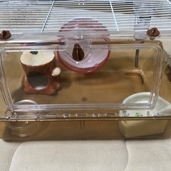 ハムスターゲージと付属品お売りします
