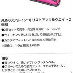 ☆美品☆アルインコ　リストアングルウエイト1.0kg×2の画像