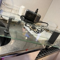 リフジウム　600 美品　ポンプも付けます　水槽