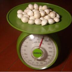 銀杏 100g 、100円の画像