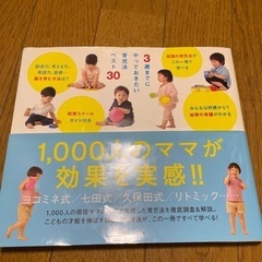3歳までにやっておきたい育児法　育児本