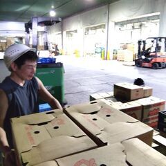 大宮中央青果市場の商品管理　週3~ダブルワークOKの画像