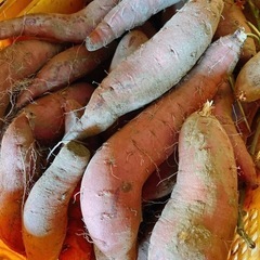 1キロ250円 紅はるか 土付き サイズ不選別 焼き芋 干し芋 ...