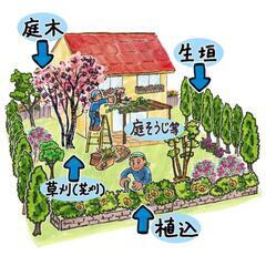 ★経験者募集★植木・造園業の画像