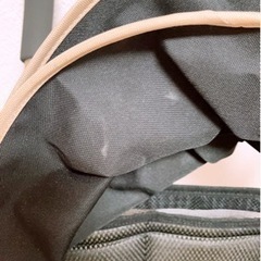 【値下げ】ベビーカー　バギーfanロングプラスの画像