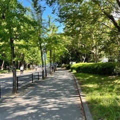 9/30☀️大阪城公園でゆるウォーク🚶‍♀️