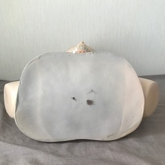 エステ　フェイシャル　デコルテ　マネキンの画像