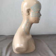 エステ　フェイシャル　デコルテ　マネキンの画像