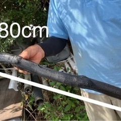 ★樫炭（長炭5本）〈す）