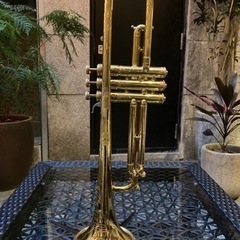 トランペット　THE INDIANA MARTIN BAND INST. CO.の画像