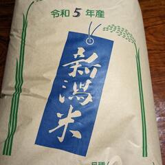 令和5年産コシヒカリ
