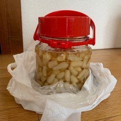 【決定】らっきょう漬け　