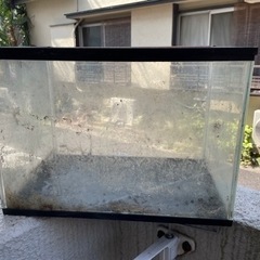 ガラスケージ