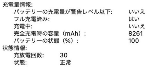 MacBook Pro 2019 16inch 1TB かなり美品✨️