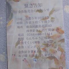 緊急告知です。