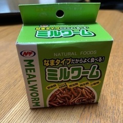 決定しました　新品未使用　ペットのエサ　ミルワーム(生タイプ)の画像