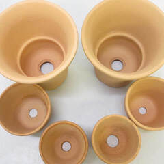 ss5575 　植木鉢　テラコッタ　6個セット　5/3号　素焼き　シンプル　フラワーポット　陶器鉢　丸型　プランター　卓上　ミニ　小型　園芸　ガーデニング　観葉植物　多肉植物　花　グリーンの画像
