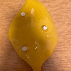 お皿 葉っぱの画像