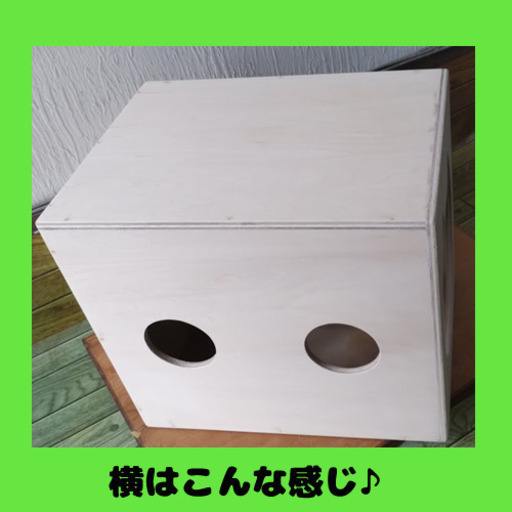 猫ハウス