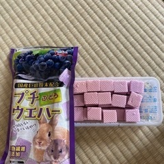 小動物用品ー開封したハムスター用おやつ