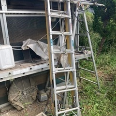 脚立　決まりました