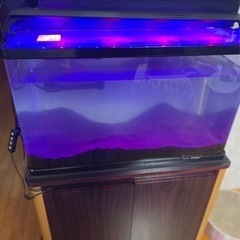 コトブキ製600cm水槽+LEDライト+フィルター+ヒーター+水槽台の画像