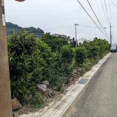 有田市宮原町滝の土地