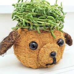 クマさんのヘアスタイルはアーモンドネックレス。