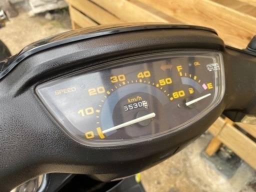 極上 寿老人 564g 東キ7-1213② ディオ