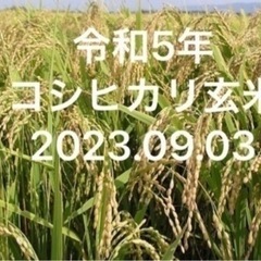 数量限定！新米【🌾1袋からお譲りできます🌾】茨城産 新米 採れた...