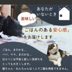 カリカリマシーンv2の画像