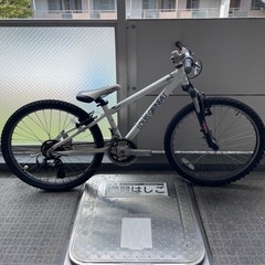 【週末まで】LOUIS GARNEAU ルイガノ J24 24イ...