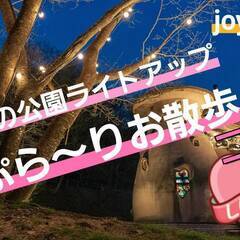 【飯能】『夜の公園ライトアップ♪ぷらーりお散歩コン💕』≪北欧の世...
