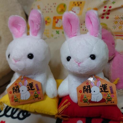 福ウサちゃん達