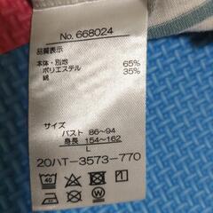 Ｔシャツの画像