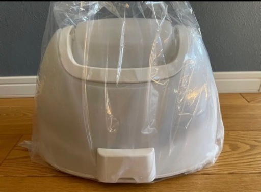 コードレススチームWヘッドアイロン ベージュ NI-WL707-C