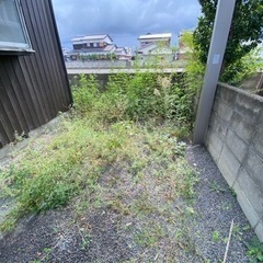 草刈り格安で行います - 手伝いたい/助けたい