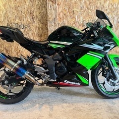【在庫あり/ご連絡下さい!!👍】KRT Edition カッコ良すぎるニンジャ250SLです!!の画像