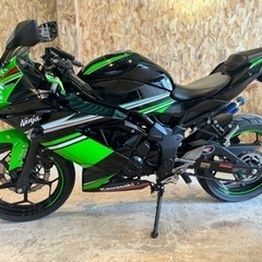 【在庫あり/ご連絡下さい!!👍】KRT Edition カッコ良すぎるニンジャ250SLです!!の画像