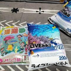 海水魚 シーソルト サンゴ砂