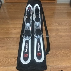 ファンスキーの板