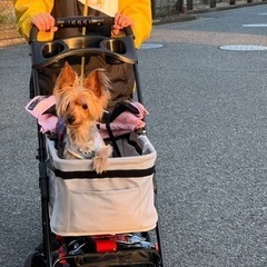ペットカート