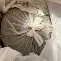 砂 すな