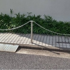 草取り
