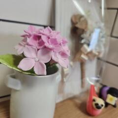 手芸仲間LINEオプチャ作りました − 岡山県