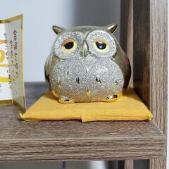 フクロウ貯金箱