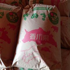令和５年産　新米 30kg(10kgも有ります)　中讃