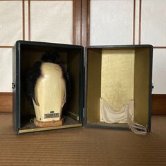 箱入り 日本髪 かつら 